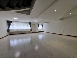 Dunearn Road (D11), Condominium #484958651